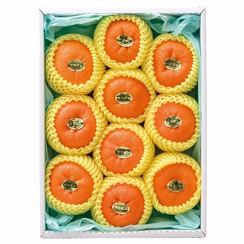  ͂ʎfirm }R|y͂ԁF12{`z